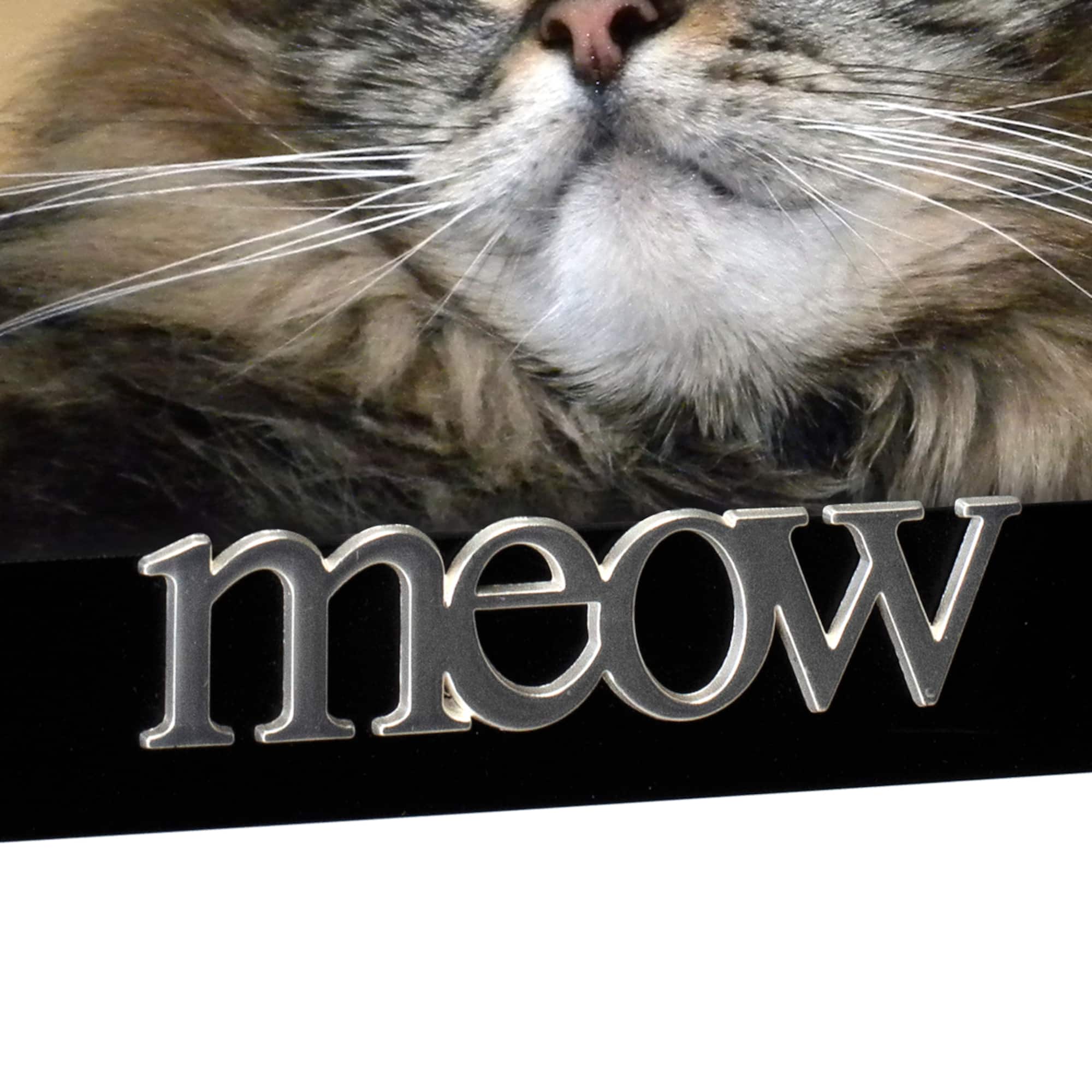 Malden International Designs You Had Me at Meow Expressions 4" x 6" Black Cat Frame